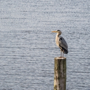 A7400763-Bearbeitet